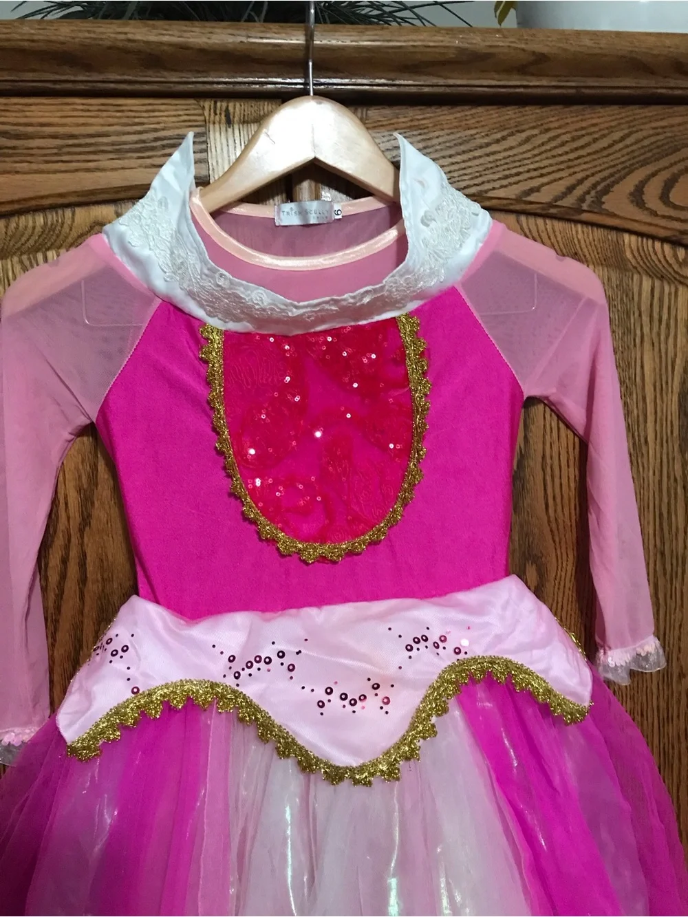 Trish Scully Aurora Child Princess Dress Up Costume Halloween Size 6